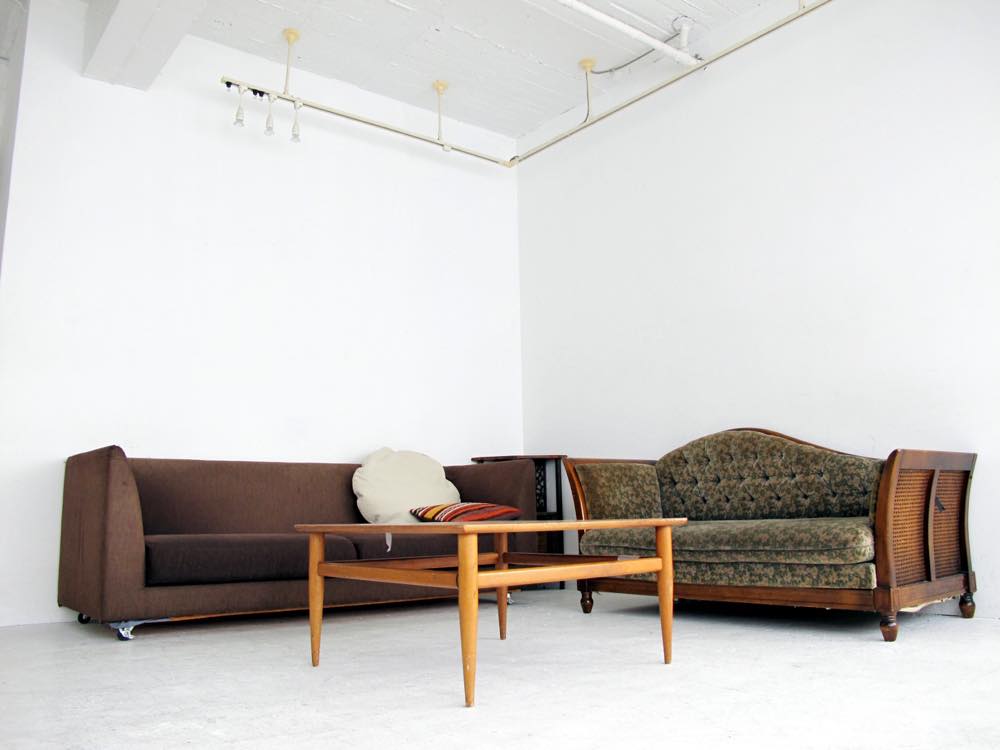 文鳥は飼いやすい 巷で言われる文鳥の特徴と 飼ってからの実体験を比べてわかった１０のこと Calcal Buncho