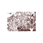 ごとうあや ポストカード 8